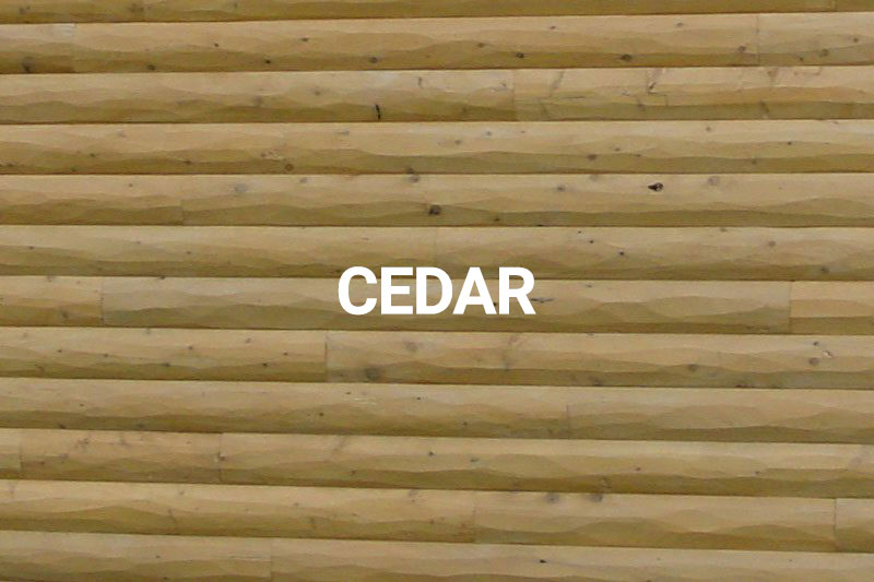 Cedar Wood Type