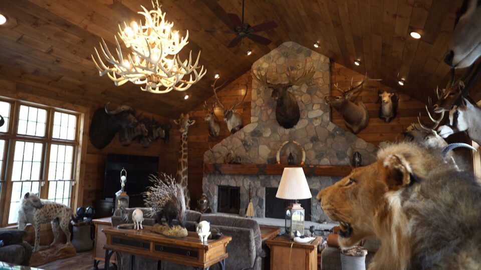 Home Interior Light Sources