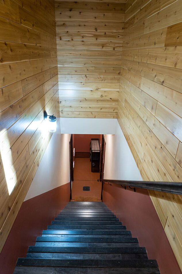 Rustic log paneling with a modern basement