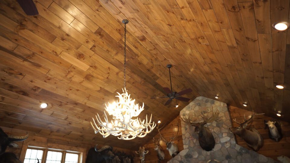 Stained Ceiling Cathedral Style