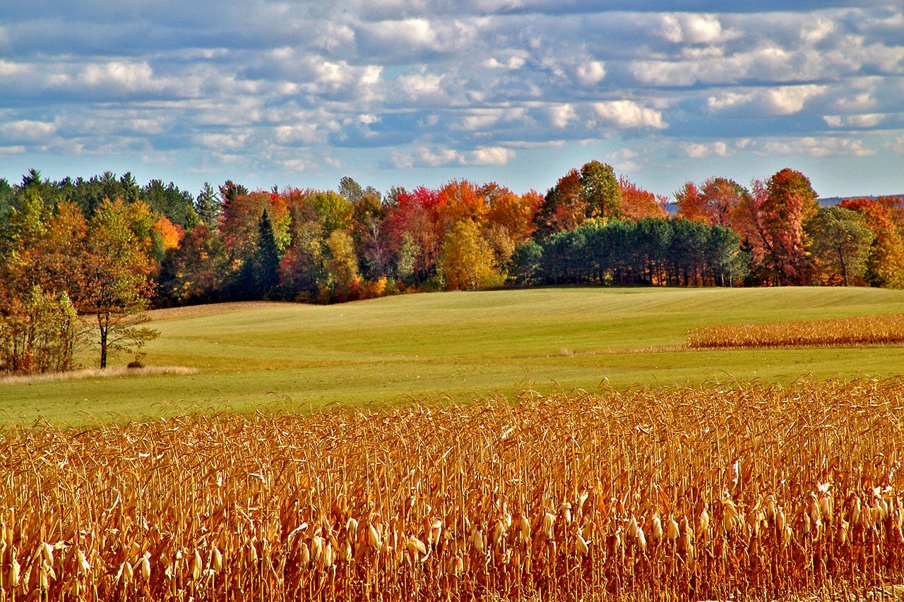 Taking a fall color tour
