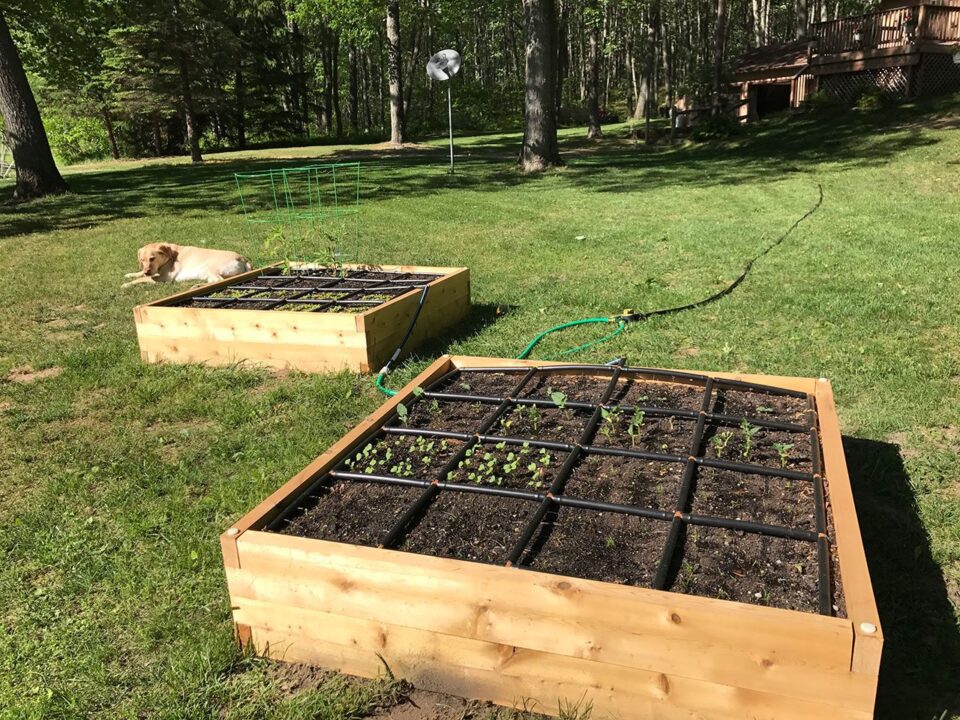 WoodHaven Garden Box