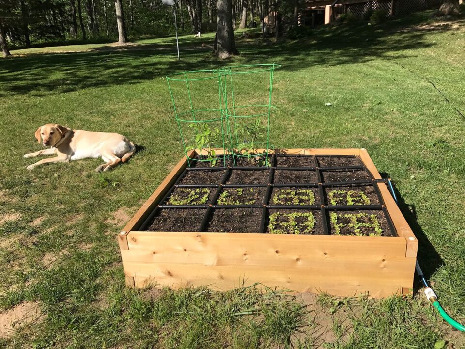 WoodHaven Garden Box
