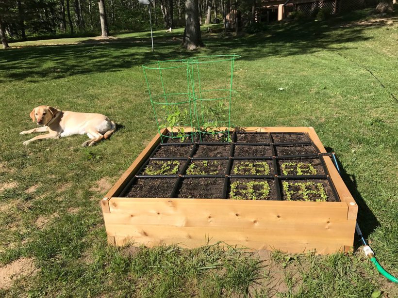 WoodHaven Garden Box