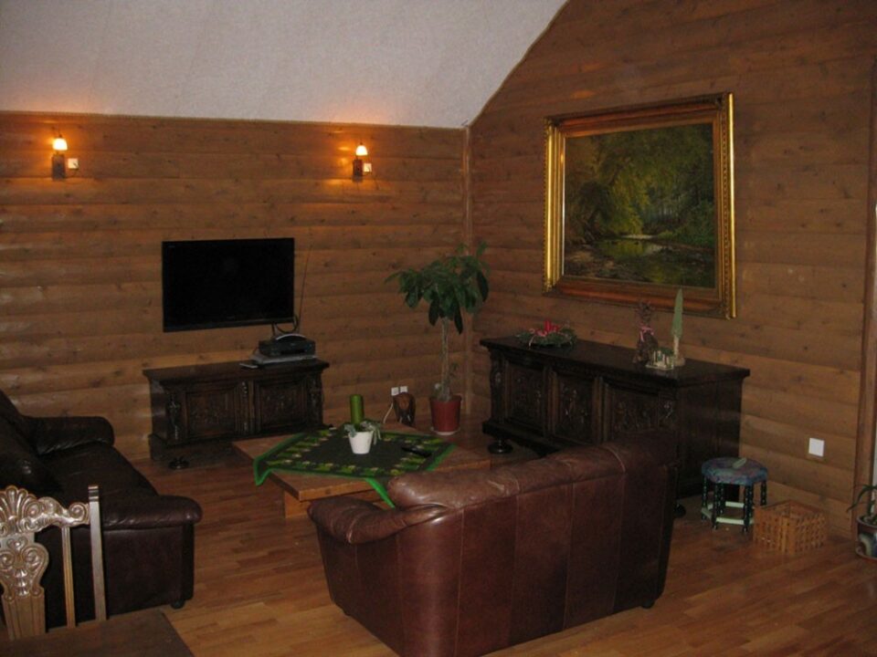 Half log cedar family room